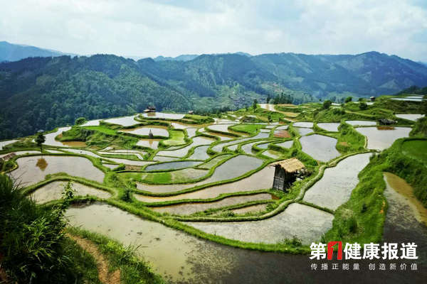 到2020年打造一批国际健康旅游地