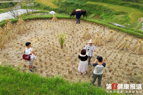第一健康报道摄制组深入贵州采访生态乡建纪实(图文)