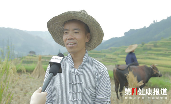 为了一粒古老物种 他回村下田