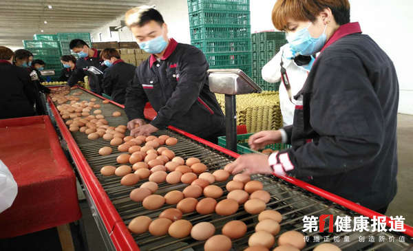 人口宣教中心组织媒体河北赵县考察食品