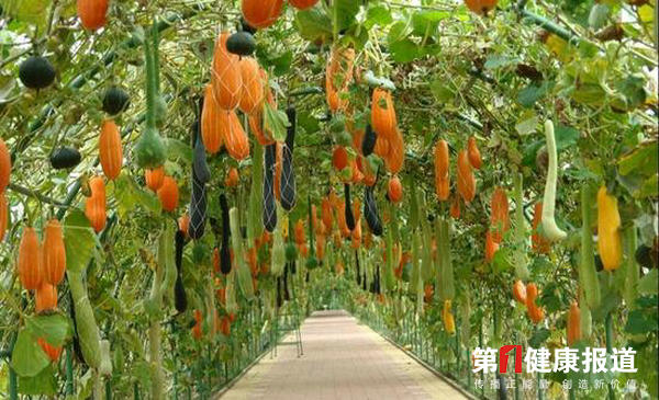  解读中央一号文件 生态农业复兴 蒋高明乐了