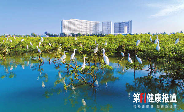 中共中央国务院关于全面加强生态环境保