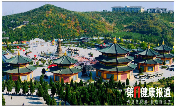 山东动真格的100亿投设医养健康产业