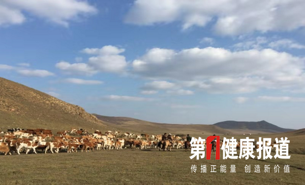 1551845103946988.png 3495785686.png