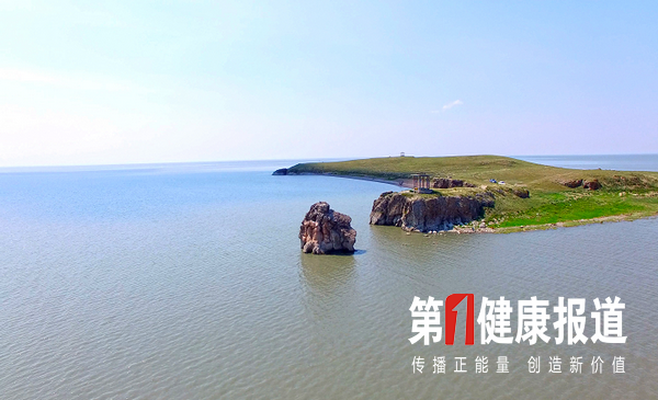 1551845127724520.png 1835902977.png