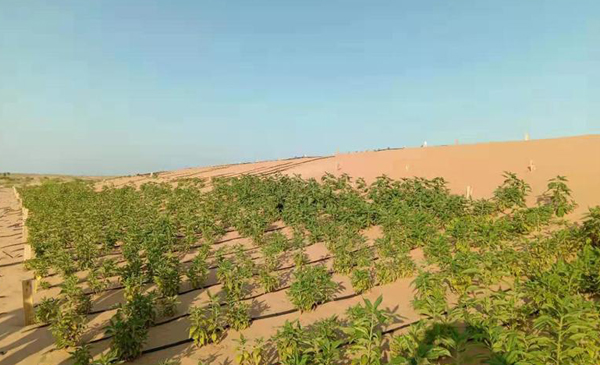 1565774402710867.jpg 未标题-1.jpg