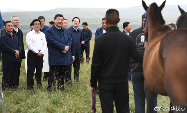 1566378144499210.png 带logo图13.png