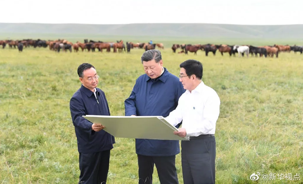 1566378233375447.png 带logo图12.png