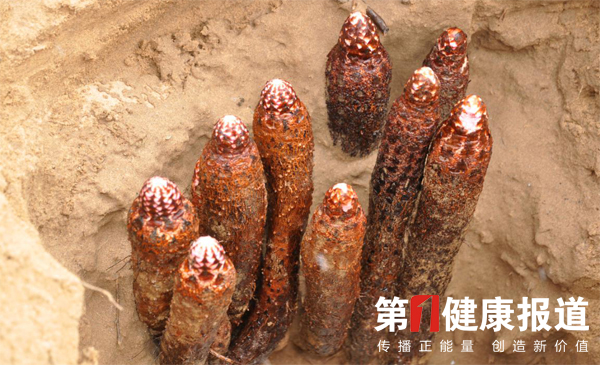 1567505309121685.jpg 未标题-1.jpg