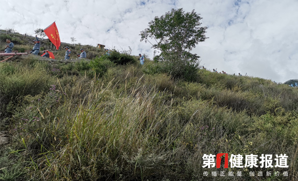 1568104141543450.jpg 未标题-2.jpg