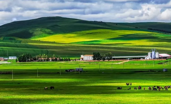 1568884785185468.png cd.png