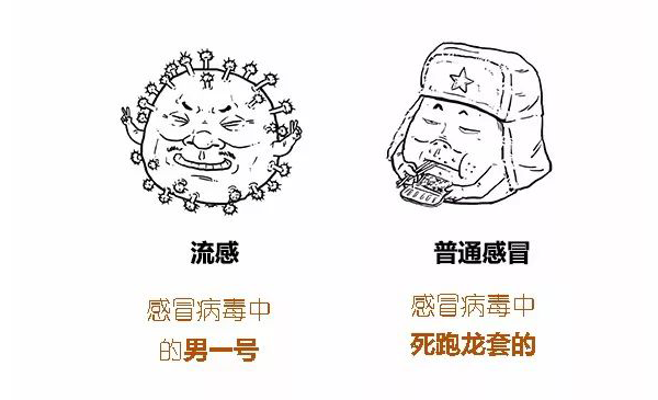 漫普：感冒到底是个什么东西？