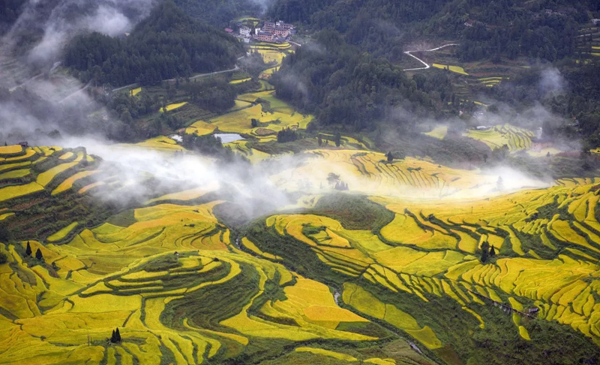 1569655216478229.png 2.png