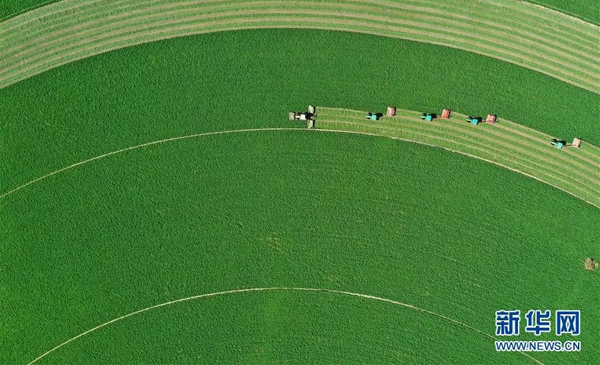 1569655243219721.png 3.png