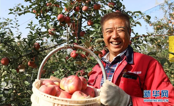 1569655261202656.png 4.png