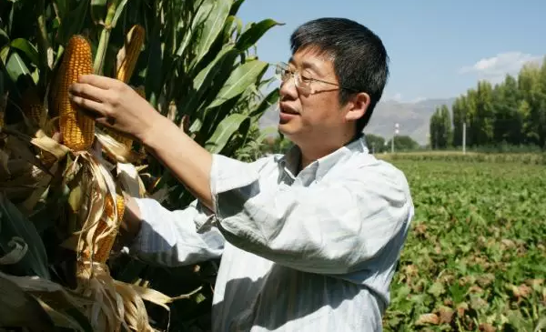 1569655372747648.png 6.png