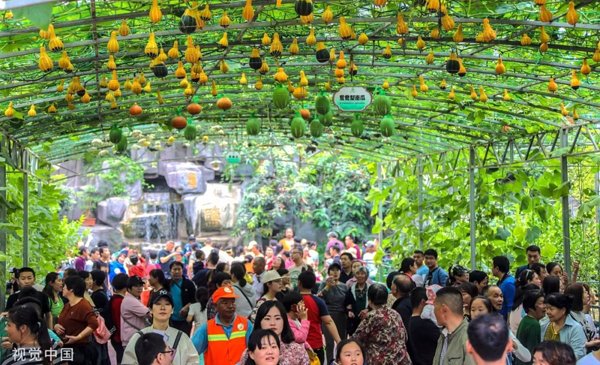 1569655395252696.png 7.png