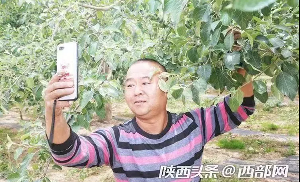 1569655428780713.png 9.png