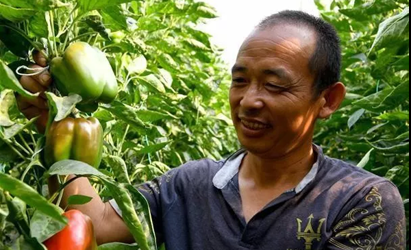 1569655449713445.png 8.png