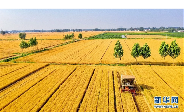 1569655489196929.png 11.png