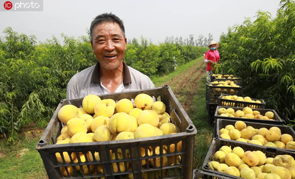 1569655506761371.png 12.png