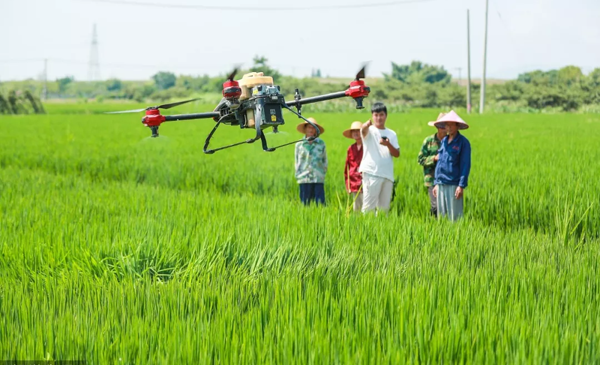 1569655741540508.png g.png