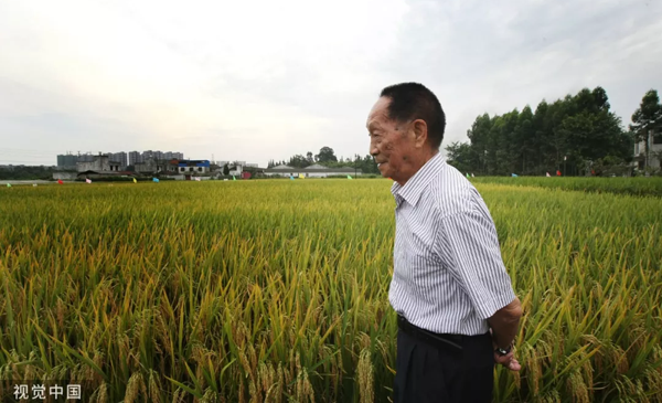 礼赞70年 致敬耕耘者