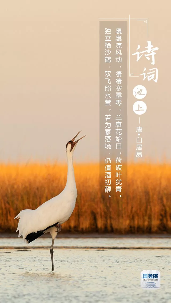 1570521036221425.png 7.png