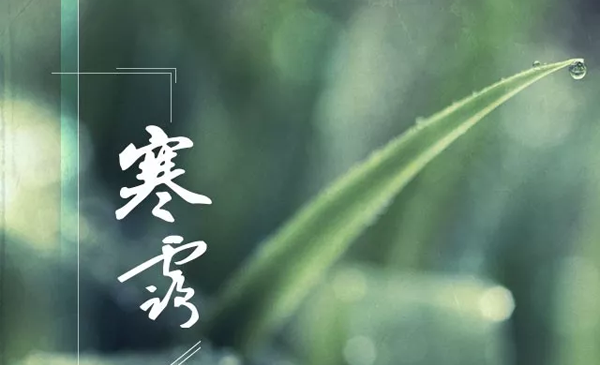 今日寒露 | “寒”字节气已上线，深秋近了