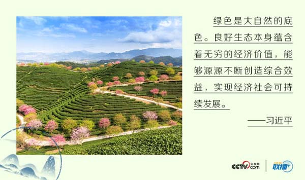 1570613286149118.jpg 2.jpg