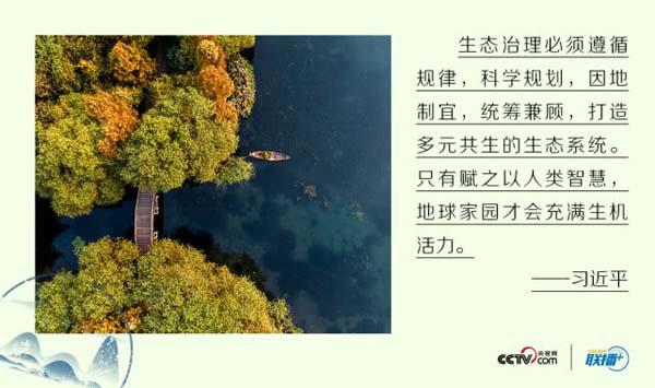 1570613296360424.jpg 3.jpg