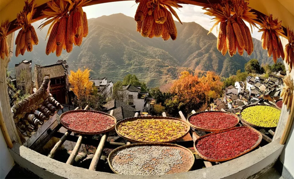 1571218991327796.png 11.png