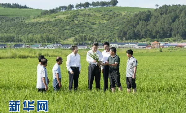 1571219080831797.png ewfwg.png