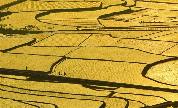 1571219102711255.png 14.png