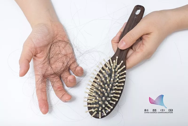 1574148923962341.png 6.png