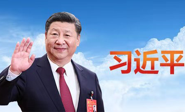 1577783682681645.png 带logo图xidada.png