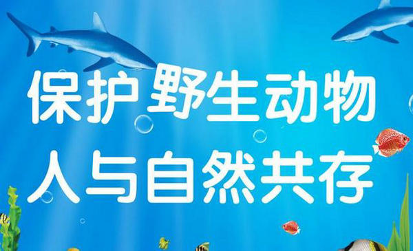 1582279437998480.jpg 1-3.jpg