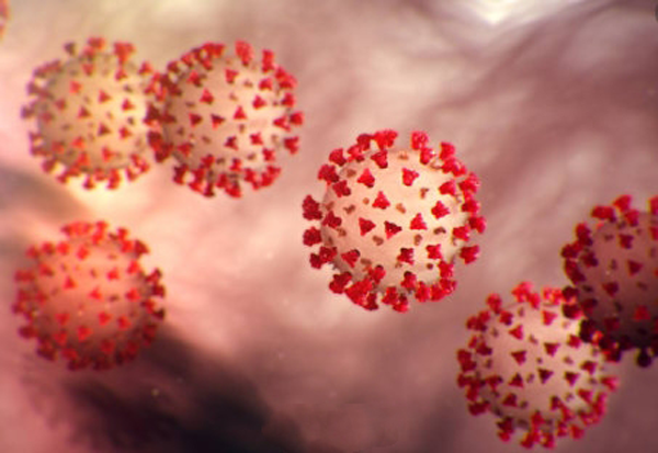 1584444827364144.png 402630145802455746.png