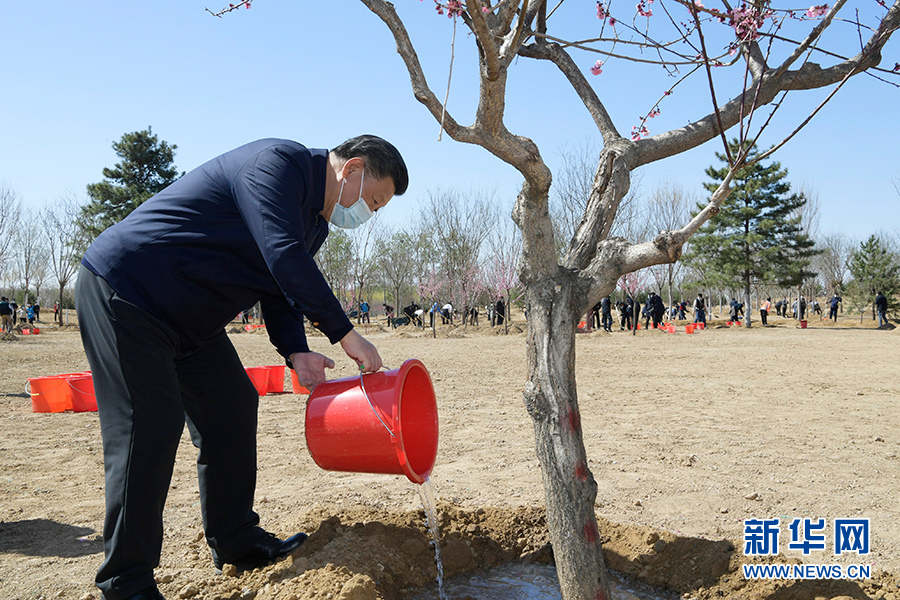 1585994987348963.jpg 9.jpg