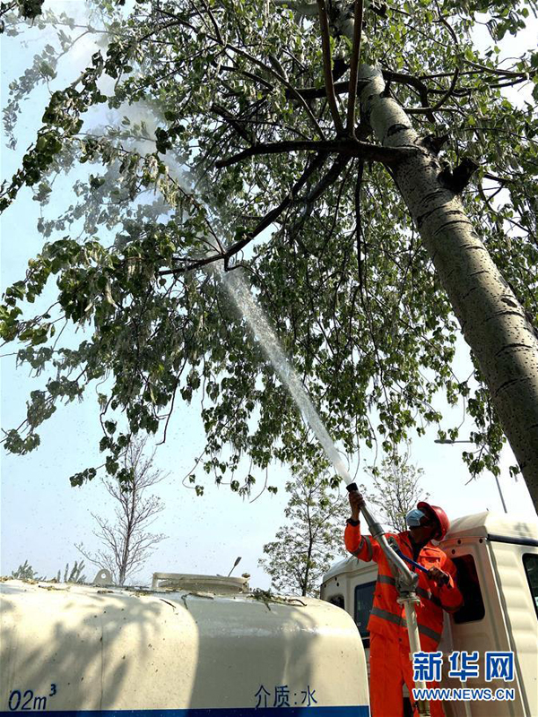 1586863795271394.jpg 1-2.jpg