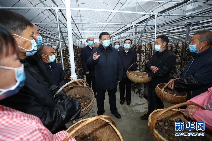 1587467890515665.jpg 1-9.jpg