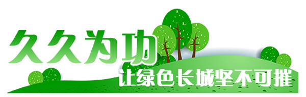 1592453909995235.jpg 1-5.jpg