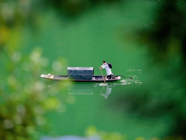 1594352376181169.jpg 1-2.jpg