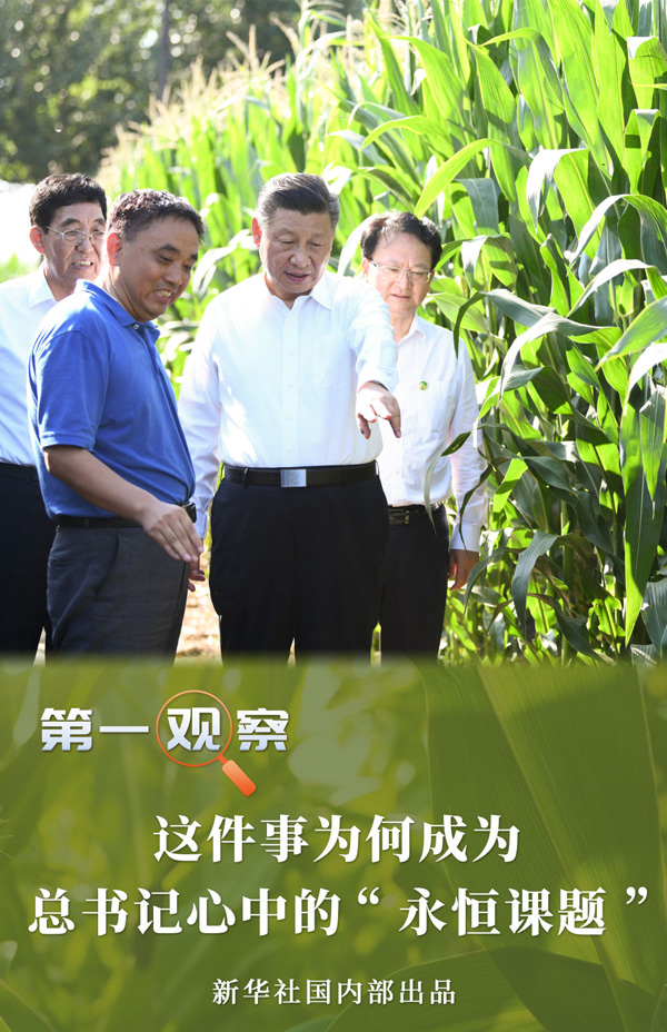 1595490055951057.jpg 1-1.jpg