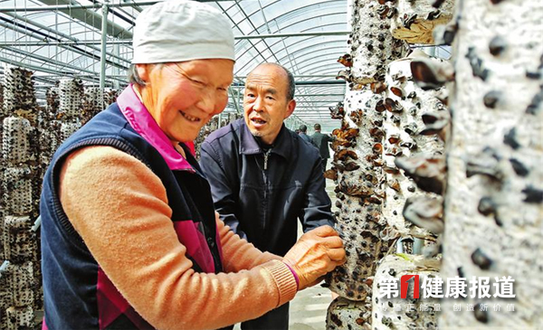 柞水木耳打造国家地理标志品牌已成气候