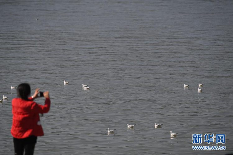 第一健康报道 第一健康报道