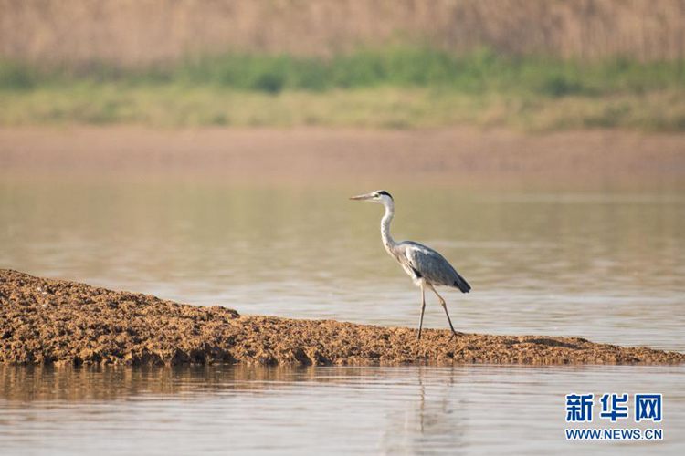 第一健康报道 第一健康报道