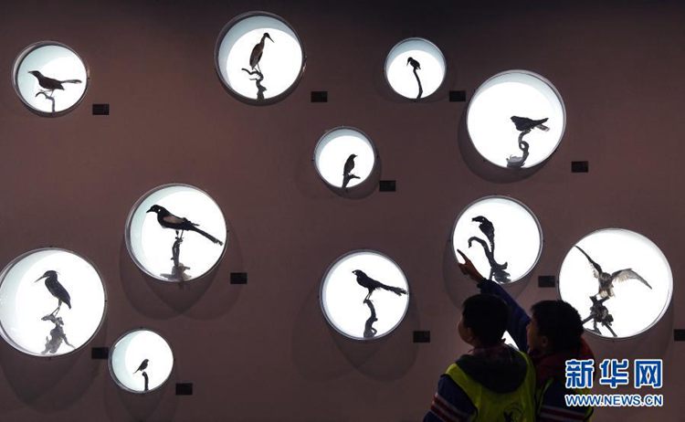 第一健康报道 第一健康报道