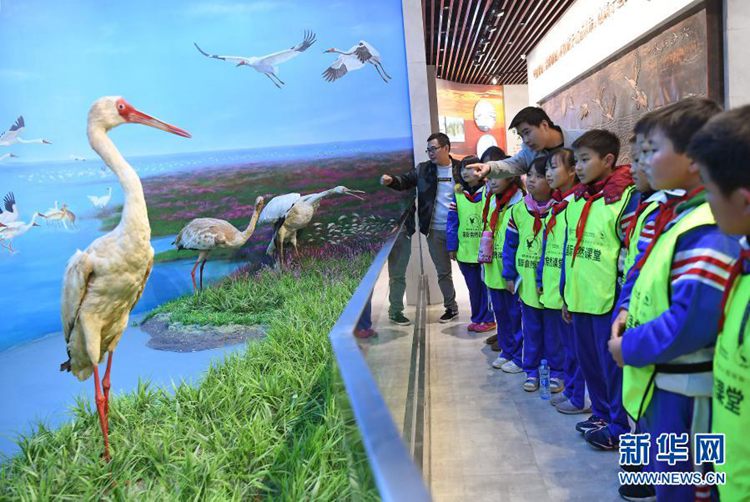 第一健康报道 第一健康报道