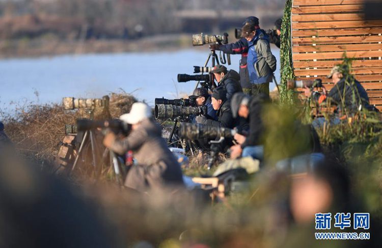 第一健康报道 第一健康报道